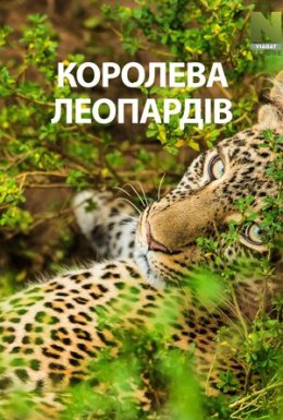 Королева леопардів