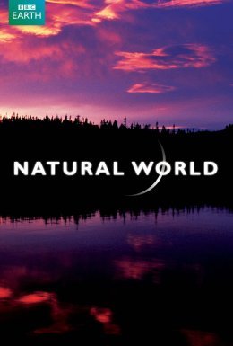 Гори Шотландії