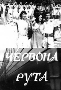 Червона рута