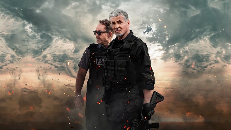 Poster 2