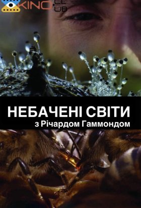 Річард Гаммонд. Небачені світи / Небачені світи з Річардом Гаммондом