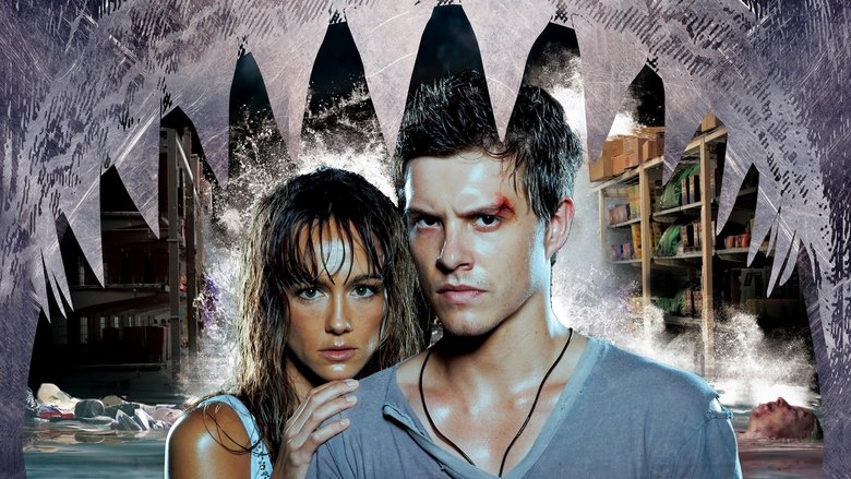 Poster 1