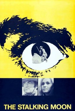 Слідами місяця