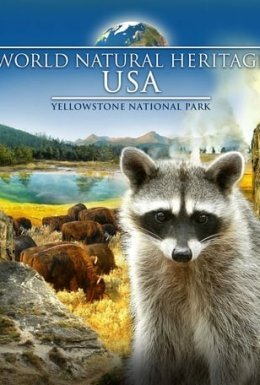 Всесвітня природна спадщина. США: Єллоустоунський національний парк
