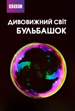 Дивовижний світ бульбашок