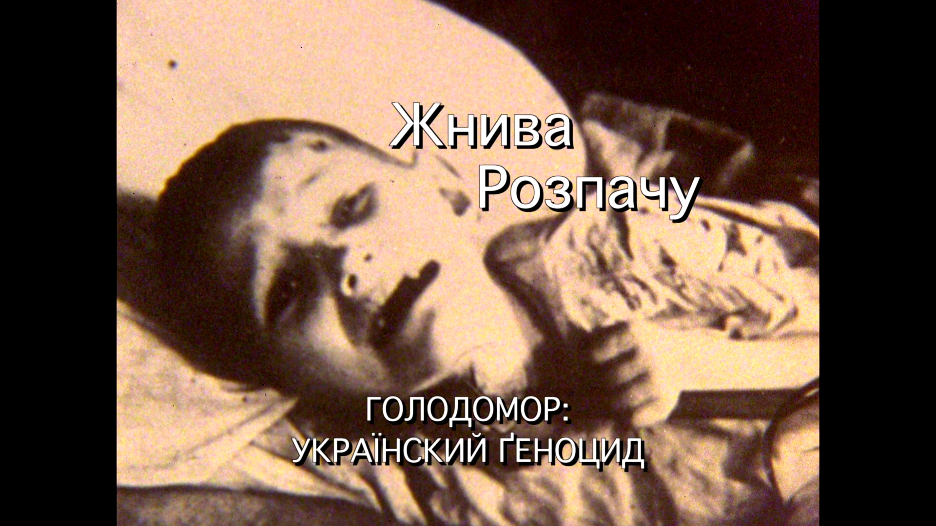 Poster 3