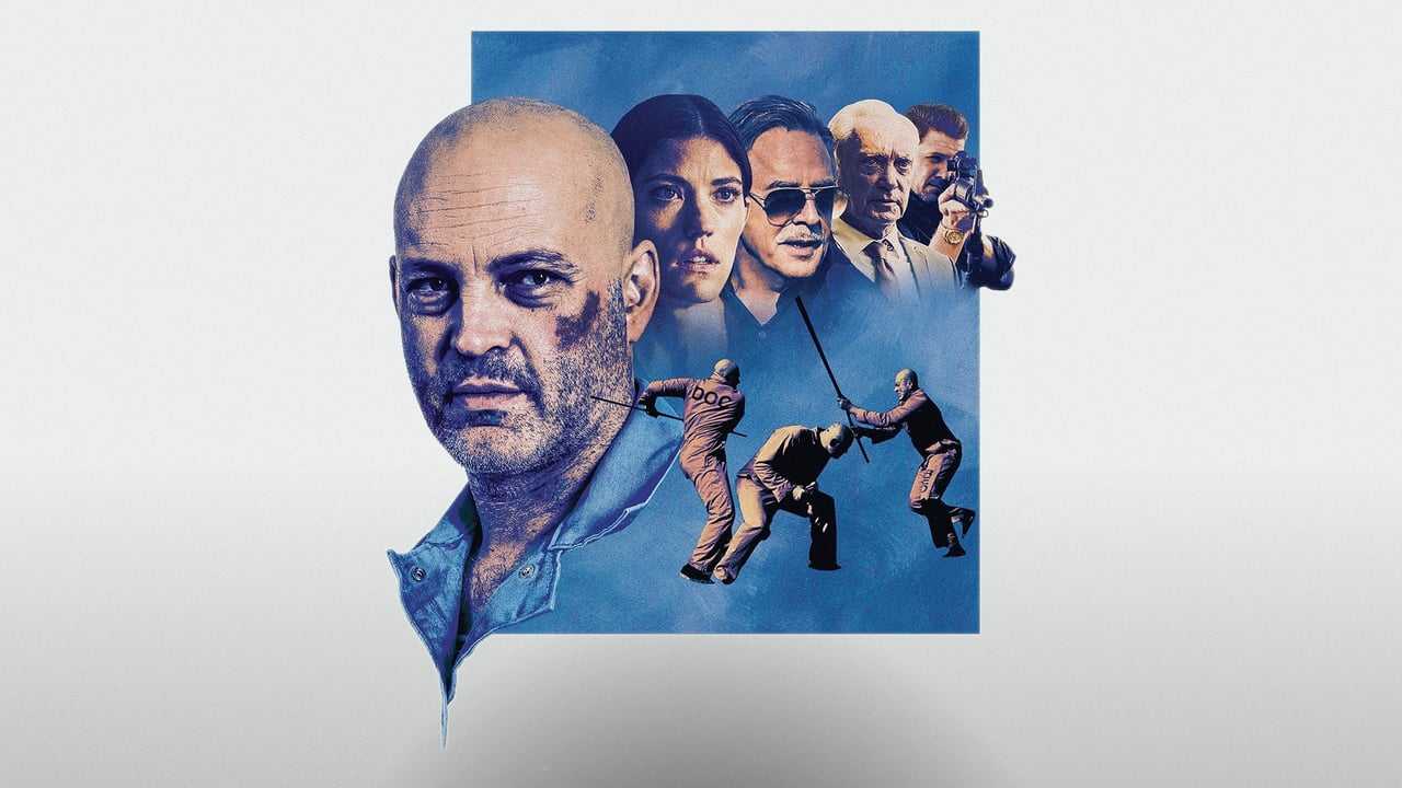 Poster 3