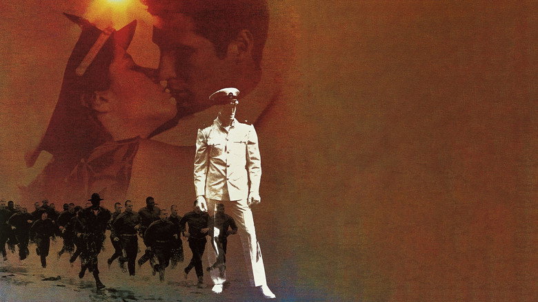 Poster 3