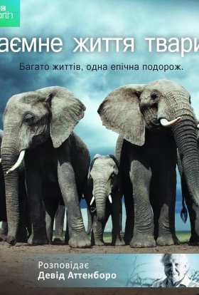 Таємне життя тварин