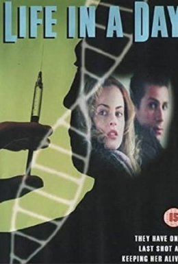 Життя один день