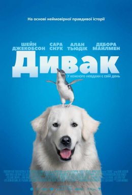 Дивак