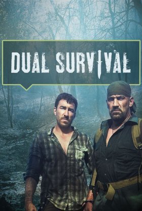 Шукачі неприємностей