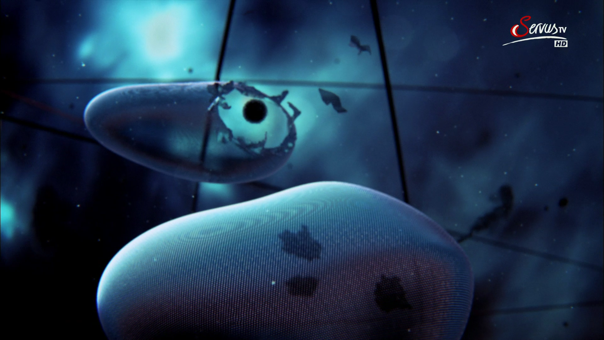 Poster 3