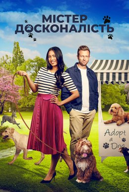 Позитивна досконалість / Містер Досконалість