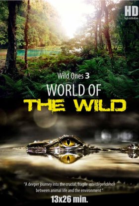 Світ дикої природи