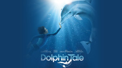 Poster 3