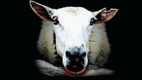 Poster 4