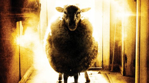 Poster 2