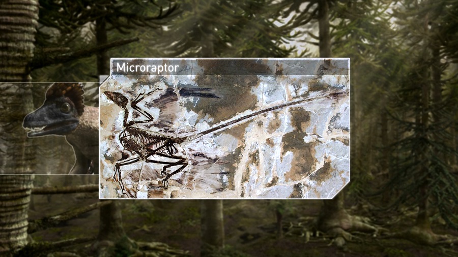 Poster 3