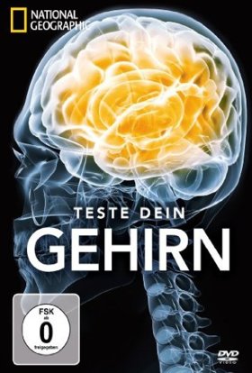 Як працює наш мозок