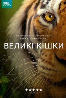 Великі кішки